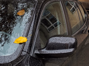 autumn-in-the-city-1060499_1280