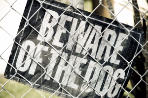 Beware-of-the-Dog