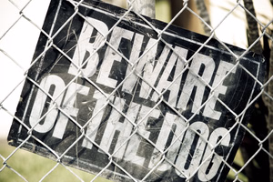 Beware-of-the-Dog