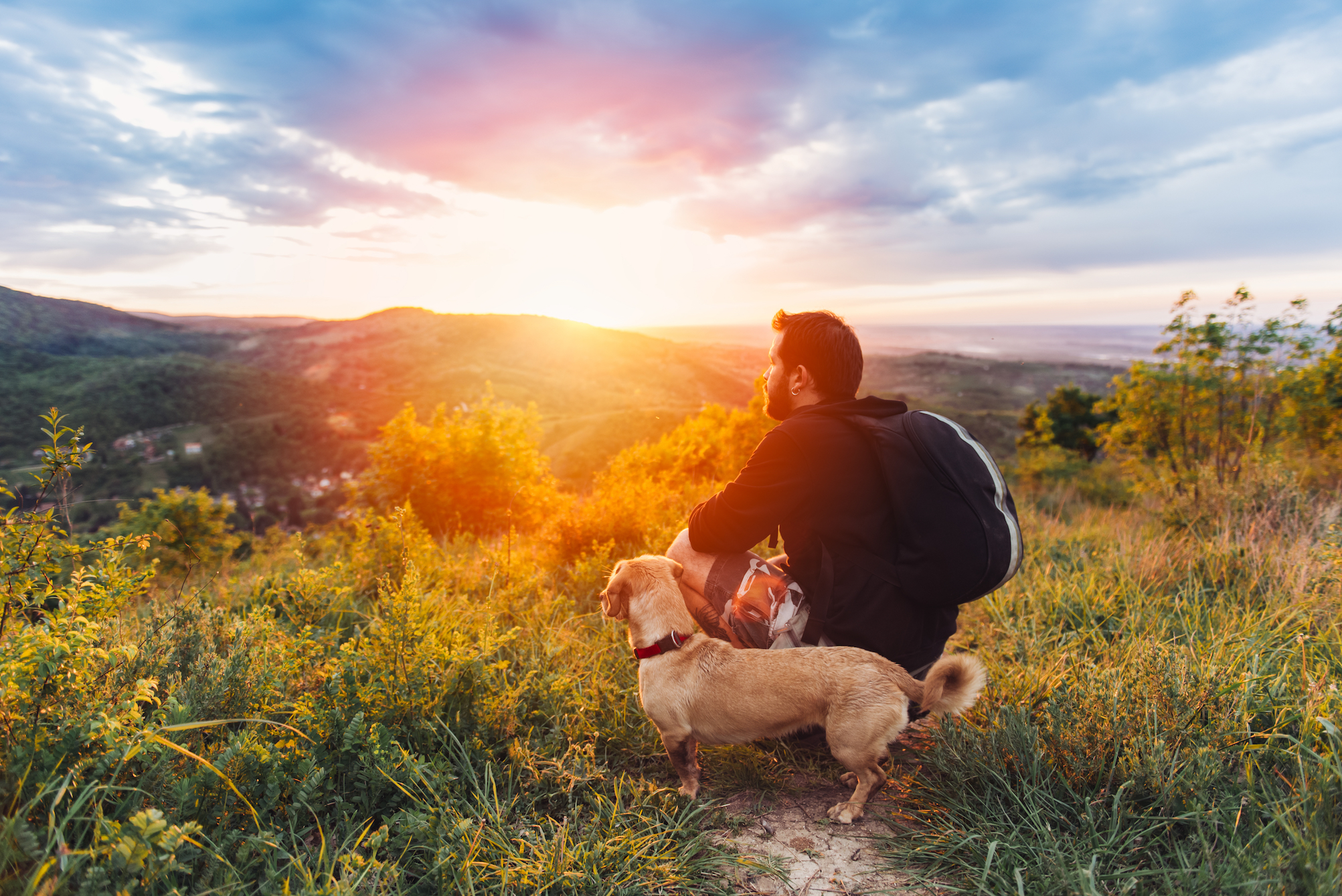 dog with man on hill