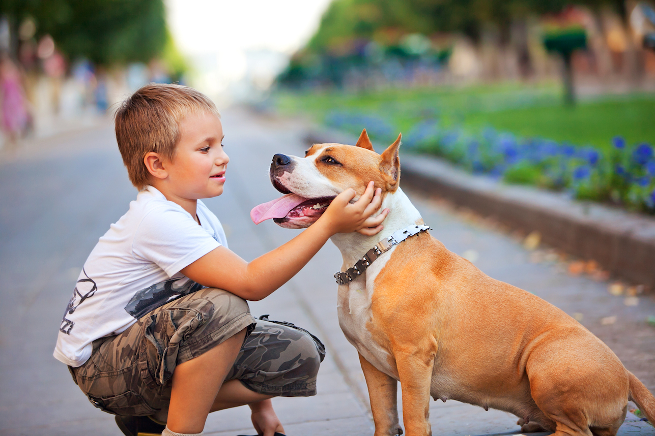 kid playing with dog