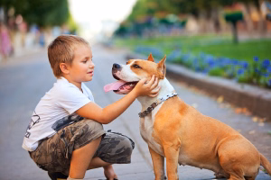 Kid-playing-with-dog