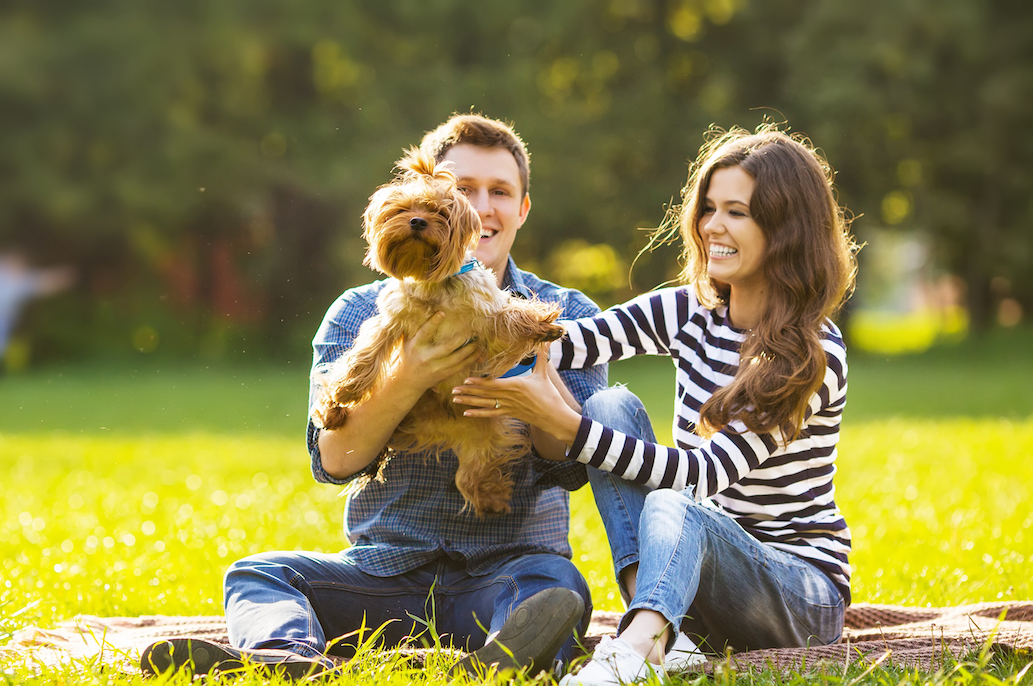 couple at dog park