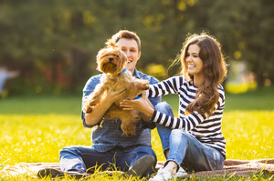 People-Playing-at-the-Dog-Park