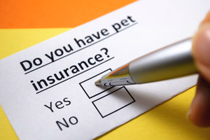 Pet-Insurance