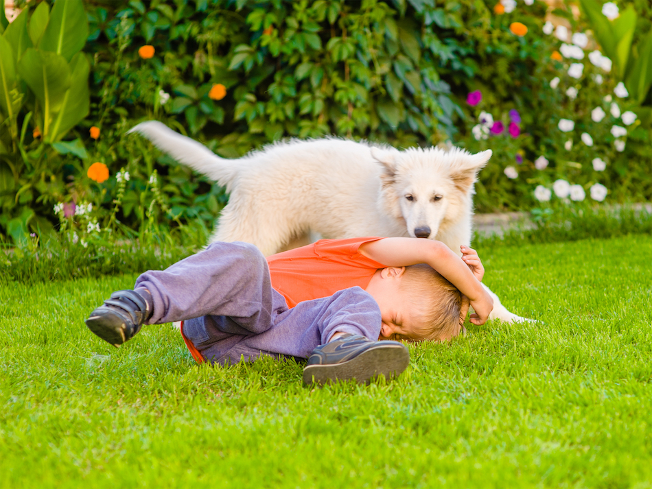 dog with child