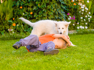 When-Your-Dog-Bites-Your-Child