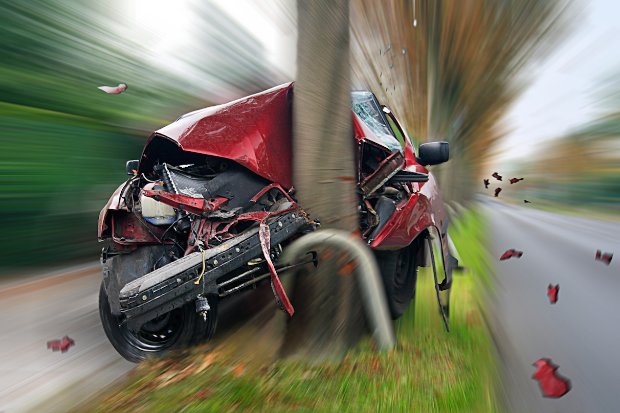 car crashes into tree