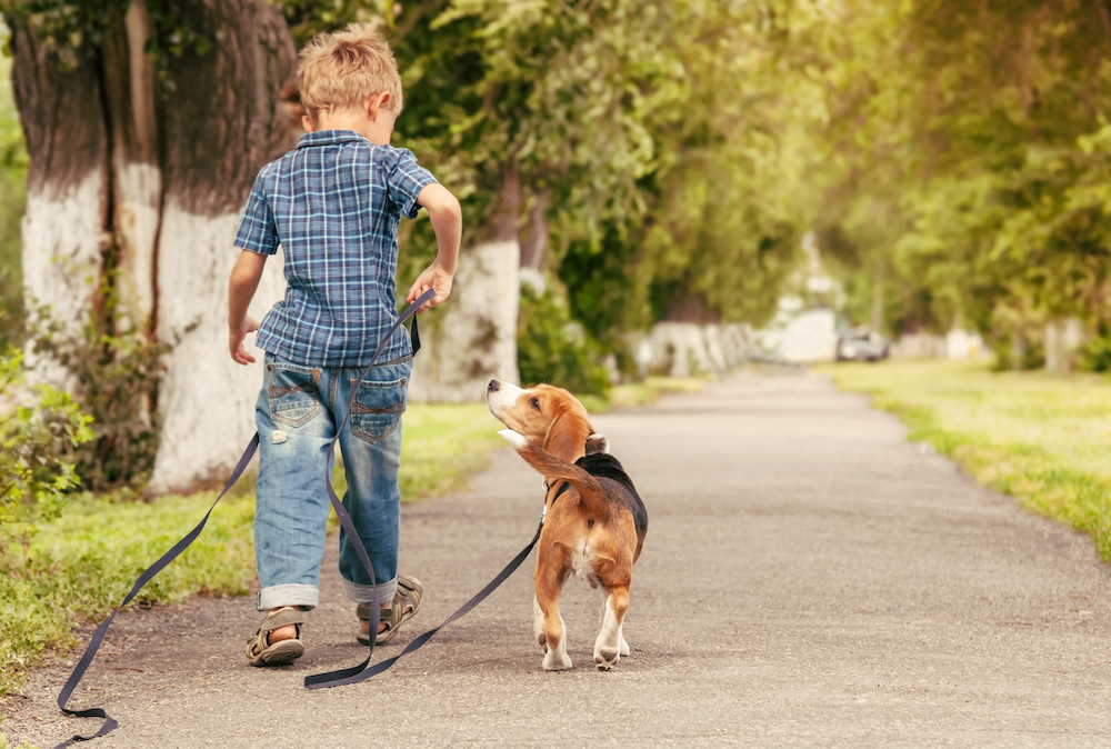 boy walking with dog