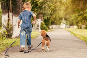 going-on-a-walk