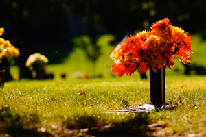wrongful-death