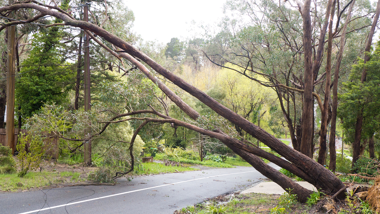 powerline accident