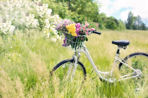 bicycle-788733_1280