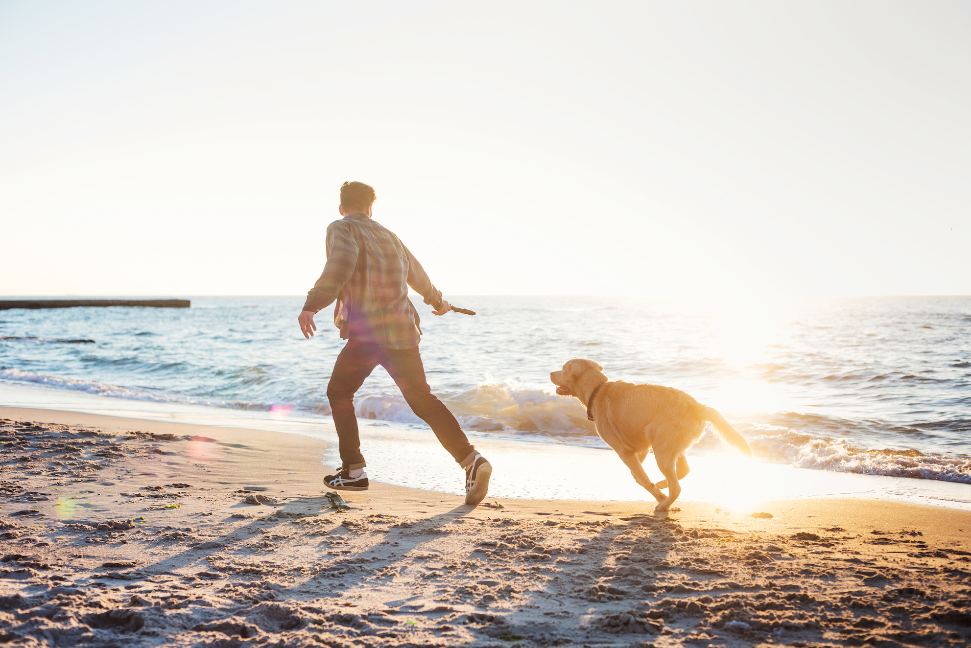 dog beach