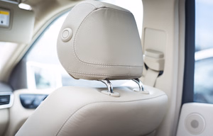 headrest-passenger