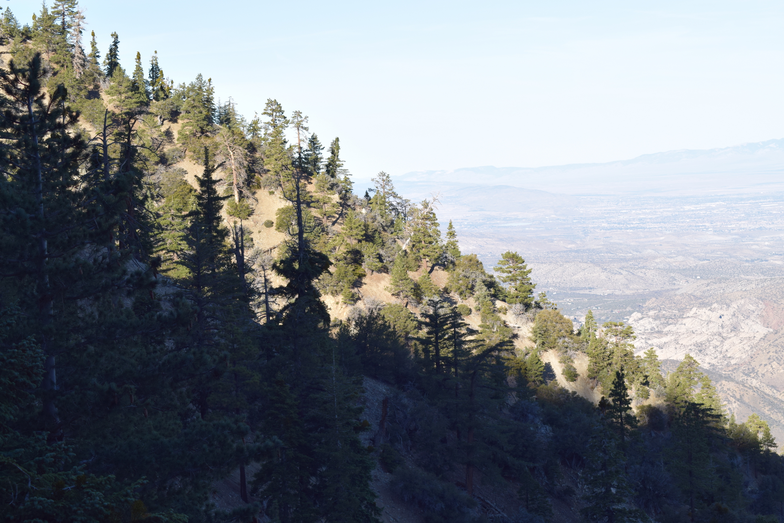 Wrightwood personal injury lawyer, Wrightwood personal injury attorney, Wrightwood car accident lawyer, Wrightwood accident attorney, Wrightwood injury lawyer